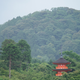Illustration for article titled My Holiday In Japan - MASSIVE PHOTODUMP